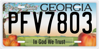GA license plate PFV7803