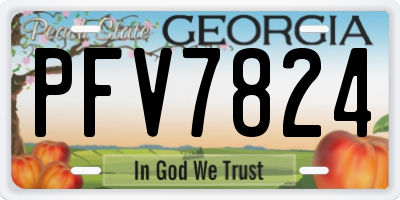 GA license plate PFV7824
