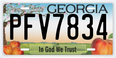 GA license plate PFV7834