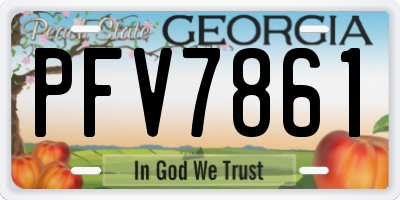 GA license plate PFV7861