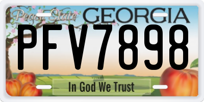 GA license plate PFV7898