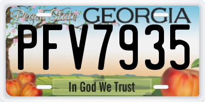 GA license plate PFV7935