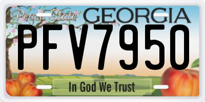 GA license plate PFV7950
