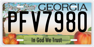 GA license plate PFV7980