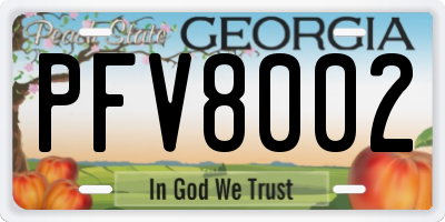 GA license plate PFV8002