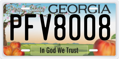 GA license plate PFV8008