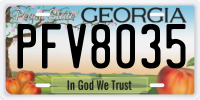 GA license plate PFV8035