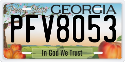 GA license plate PFV8053