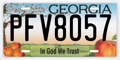 GA license plate PFV8057