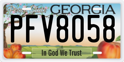GA license plate PFV8058