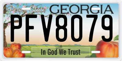 GA license plate PFV8079