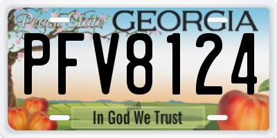 GA license plate PFV8124