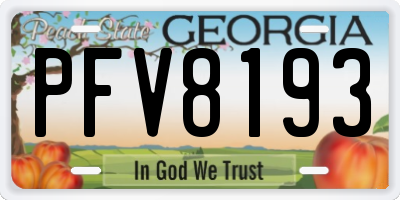 GA license plate PFV8193