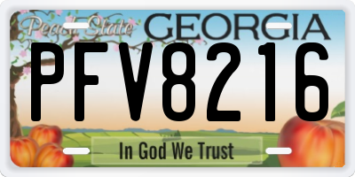 GA license plate PFV8216