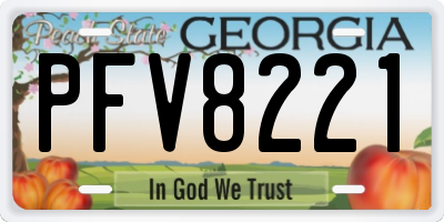 GA license plate PFV8221