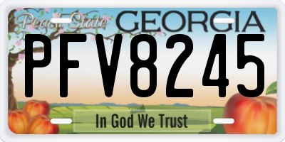 GA license plate PFV8245