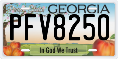 GA license plate PFV8250
