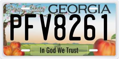 GA license plate PFV8261