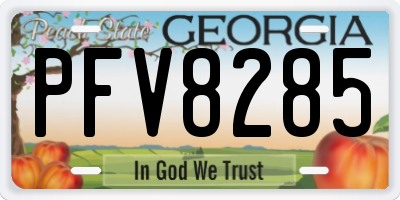 GA license plate PFV8285