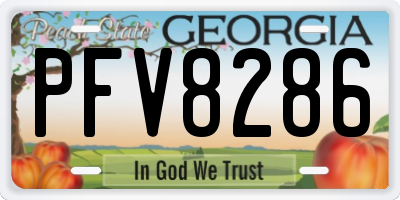 GA license plate PFV8286