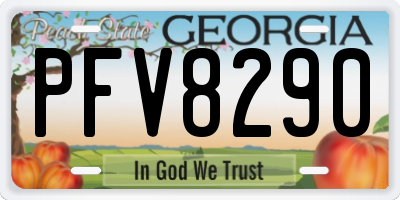 GA license plate PFV8290