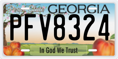 GA license plate PFV8324
