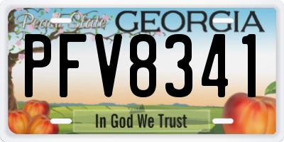 GA license plate PFV8341