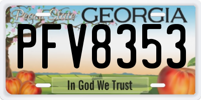 GA license plate PFV8353