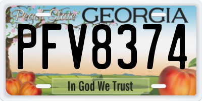 GA license plate PFV8374