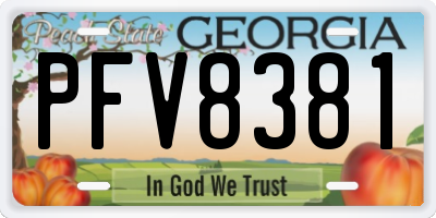 GA license plate PFV8381