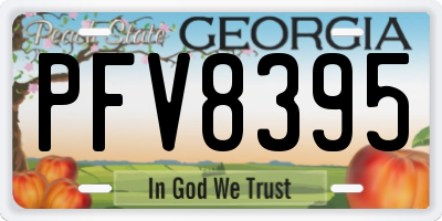 GA license plate PFV8395