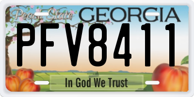 GA license plate PFV8411