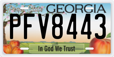 GA license plate PFV8443