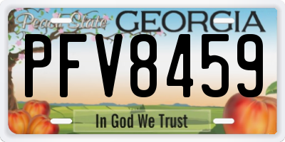 GA license plate PFV8459