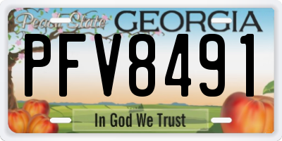 GA license plate PFV8491