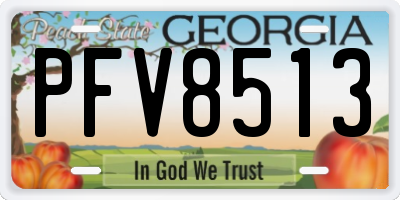 GA license plate PFV8513