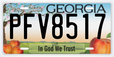 GA license plate PFV8517