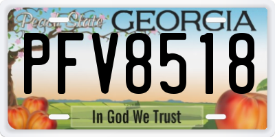 GA license plate PFV8518