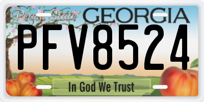 GA license plate PFV8524