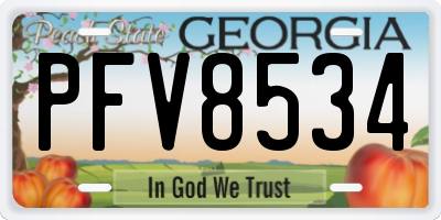GA license plate PFV8534