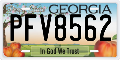 GA license plate PFV8562