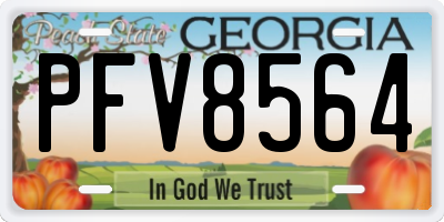 GA license plate PFV8564