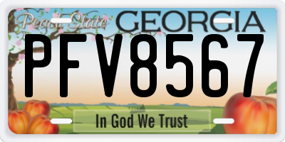 GA license plate PFV8567