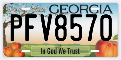 GA license plate PFV8570