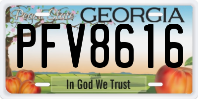 GA license plate PFV8616