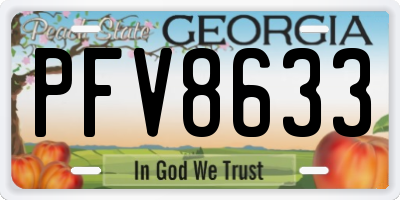 GA license plate PFV8633