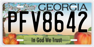 GA license plate PFV8642