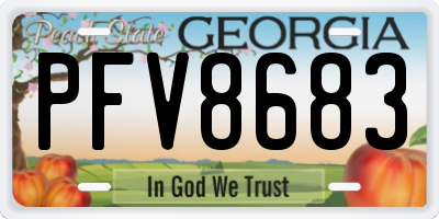 GA license plate PFV8683