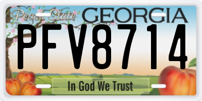 GA license plate PFV8714