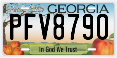 GA license plate PFV8790